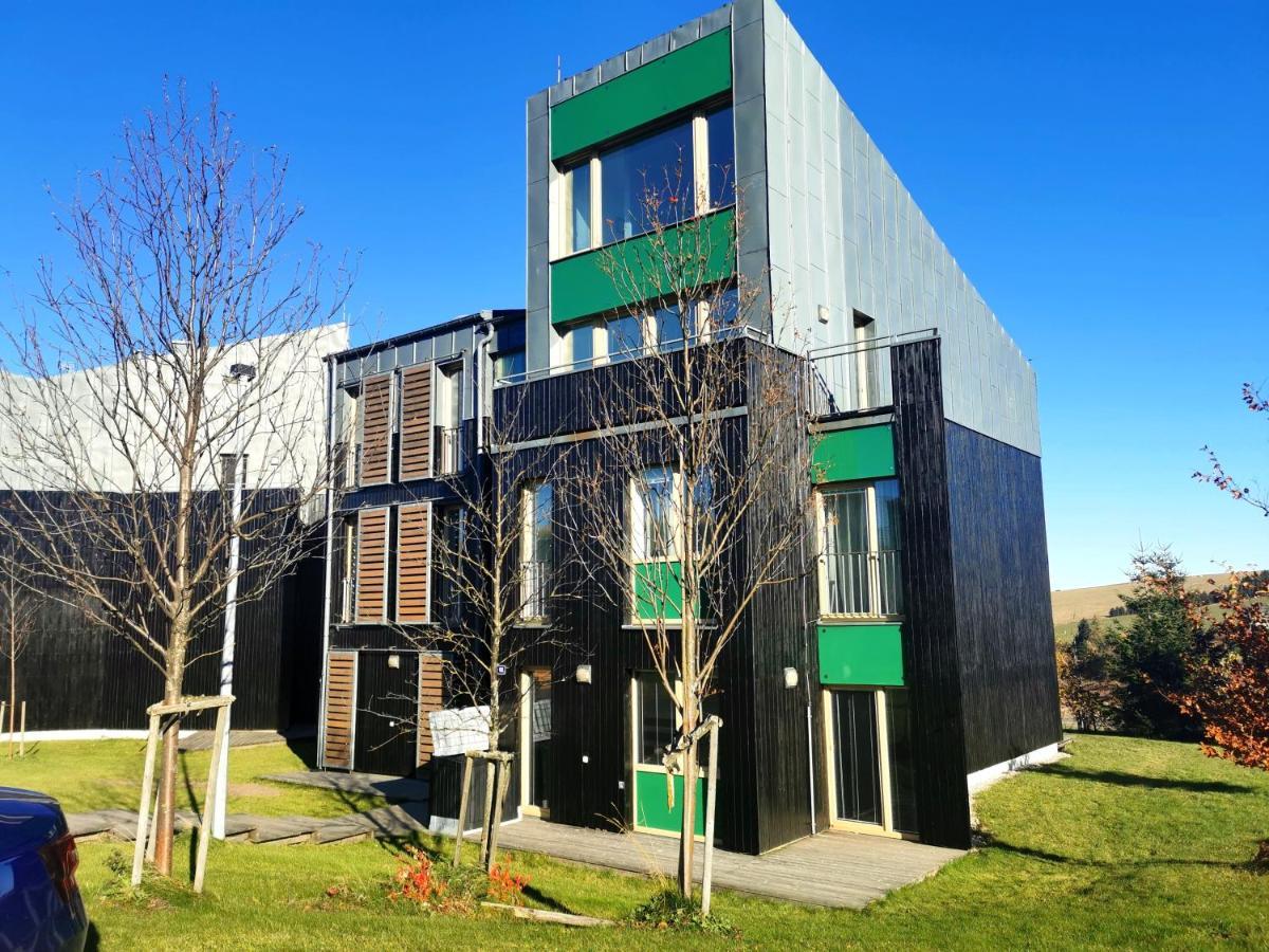 Apartman Mustang Klinovec Loucna pod Klinovcem Exterior photo