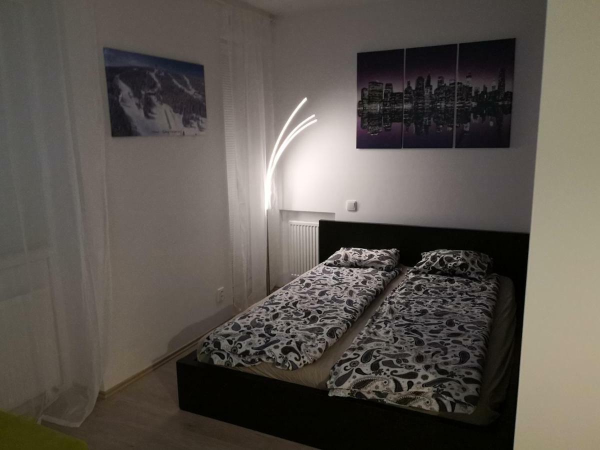 Apartman Mustang Klinovec Loucna pod Klinovcem Exterior photo
