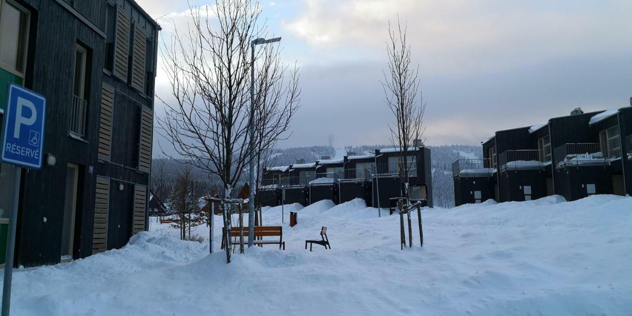 Apartman Mustang Klinovec Loucna pod Klinovcem Exterior photo